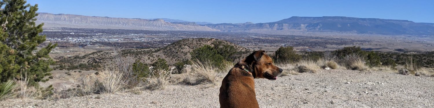 AnneLandman Blog.com