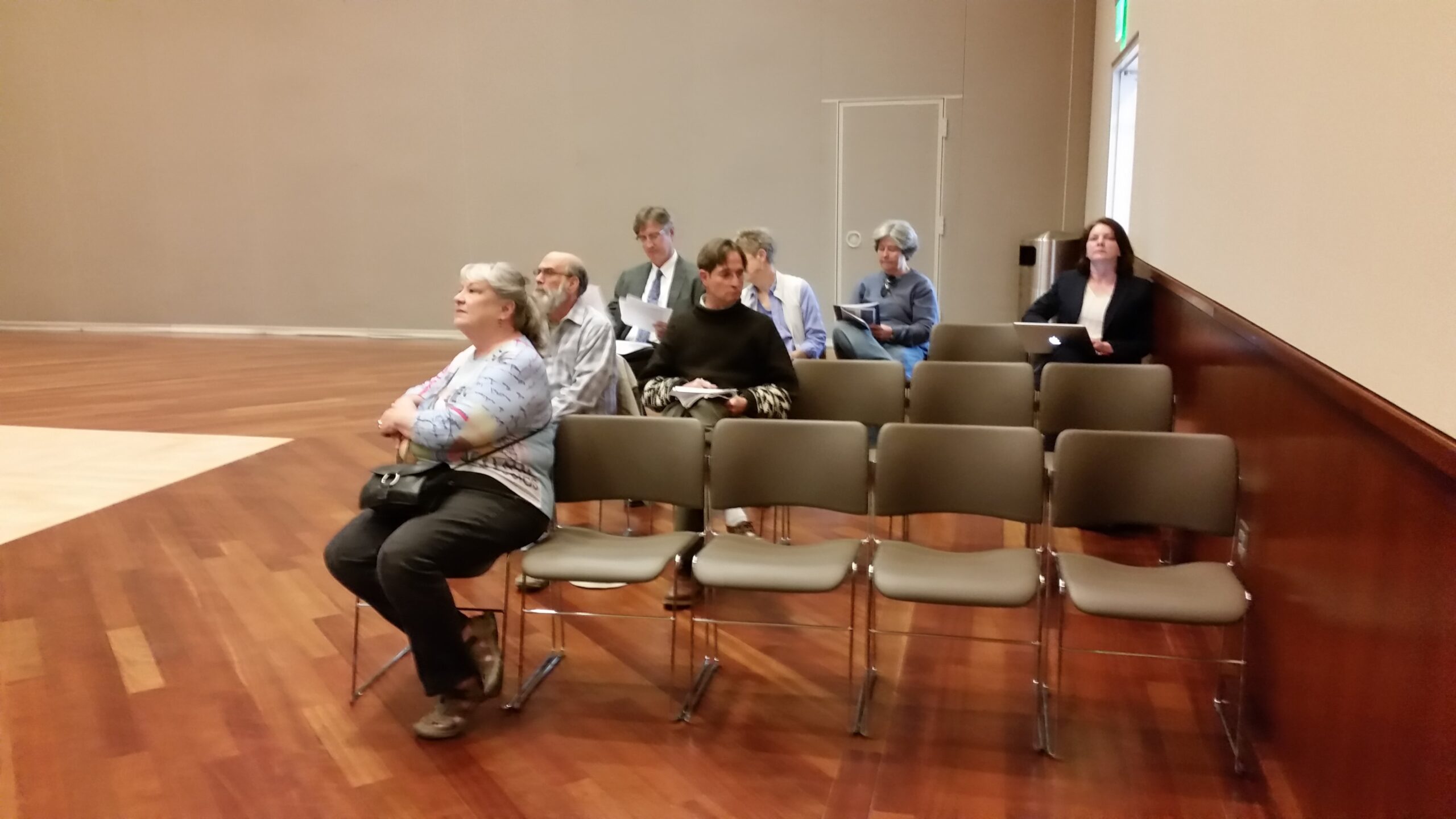 ALL OPPOSED? - Nine western slope residents (including the photographer) showed up to oppose bringing back large capacity gun magazines in Colorado at today's hearing on SB 175