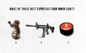 A portion of Bushmaster's tasteless online promotion. (The company has since pulled it.)
