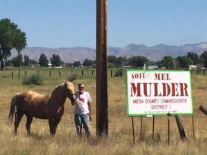 Some low-life is stealing Mel Mulder's hand-made campaign signs. Turn them in for a reward!