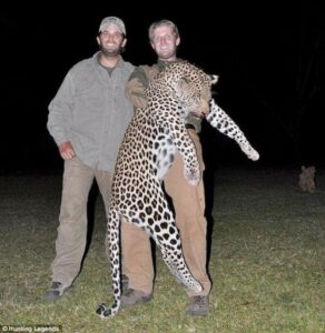 leopardtrump