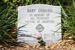 pro-life