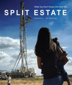 split_estate_poster-254x300